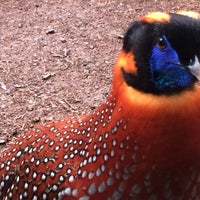 Photo taken at Conservation Aviary by Captain B. on 4/11/2018