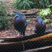 Photo taken at Conservation Aviary by Captain B. on 1/25/2018