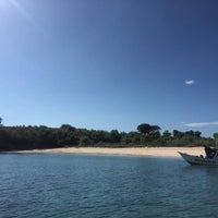  Pantai  Pink  Pink  Beach  Beach  in Lombok Timur