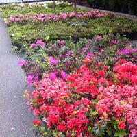 Pike Nurseries Garden Center Photo Taken At Pike Nurseries By Joey On 4 21 2017