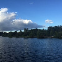 сетки для наращивания ногтей фото