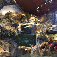 Bass Pro Shops - Little Rock, AR