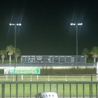 Daytona beach kennel club blackjack