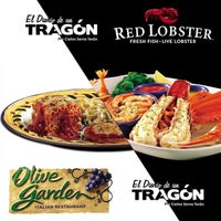 giro d italia olive garden olive garden 184 tips giro d italia olive garden olive garden 184 tips