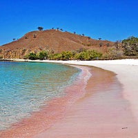  Pantai  Pink  Pink  Beach  Beach  in Lombok Timur