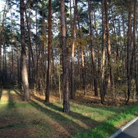 печень в горшочках в духовке рецепты пошагово