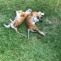 Photo taken at Zoo Johor by Fayad A. on 3/23/2018