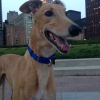 D'Angelo Dog Park - South Loop - 0 tips