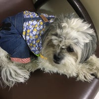 کلینیک حیوانات خانگی نیک پت nik pet small animals clinic - Pet ...Photo taken at کلینیک حیوانات خانگی نیک پت nik pet small animals clinic by Sevda A ...