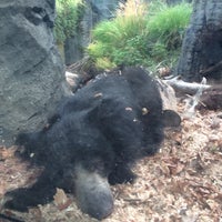 Photo taken at Sloth Bear by Casey B. on 9/21/2017