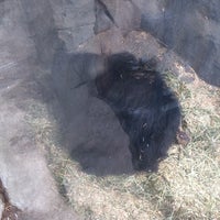 Photo taken at Sloth Bear by Casey B. on 4/11/2018