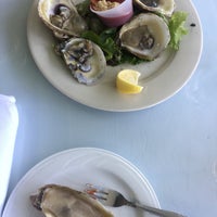 cozy grove clams