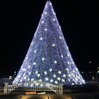 National Christmas Tree - Tree in Northwest Washington