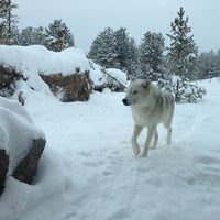 Photo taken at Grizzly &amp; Wolf Discovery Center by Kaleb T. on 12/24/2012