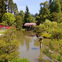 Photo taken at Seattle Japanese Garden by Elliot K. on 5/10/2013