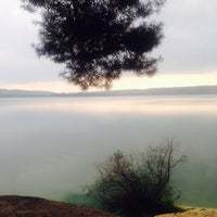 верблюжьи лапках на пляжах фото