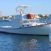 Pelican harbor coupons