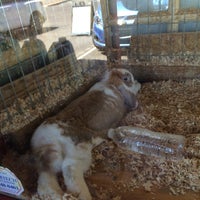 23 Pet Feed Store Vacaville Images
