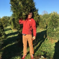 photo taken at country cove christmas tree farm by geoff b on 123 - Country Cove Christmas Tree Farm photo taken at country cove christmas tree farm by geoff b on 123 - Country Cove Christmas Tree Farm