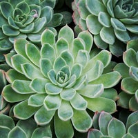 Lowes Of Turnersville Nj Store 0751 Lowes Of Turnersville Nj Store 0751