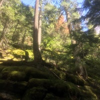 Photo taken at Trail Of The Cedars by Lacey D. on 6/13/2018