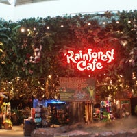 Rainforest Cafe (Now Closed)  American Restaurant in Burlington