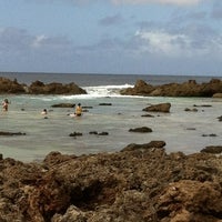 Photo taken at Shark&#39;s Cove by Evelyn C. on 2/23/2012