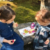 Botanischer Garten Universität Zürich - Botanical Garden in Kreis 8