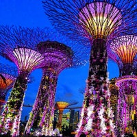 Garden By The Bay Night gardensthe bay - garden in singapore Garden By The Bay Night gardensthe bay - garden in singapore