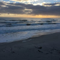 Bicentennial Park - Beach