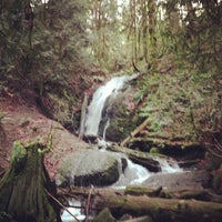 Photo taken at Cougar Mountain Regional Wildland Park by Kevin H. on 1/1/2013