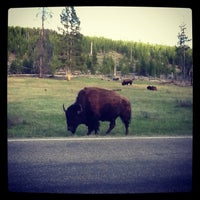Photo taken at Yellowstone National Park (West Entrance) by Chris H. on 5/28/2013