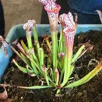 Tower Hill Botanic Garden - Garden