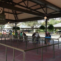 can you take bus from disney springs to magic kingdom