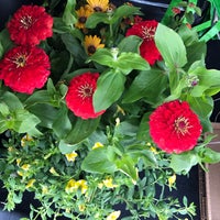 Photos At Agua Fria Nursery 1409 St Photo Taken At Agua Fria Nursery By Nancy A On 5 13 2017
