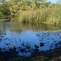 Madrona Marsh Preserve And Nature Center - 8 tips