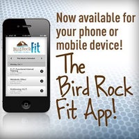 Bird Rock Fit