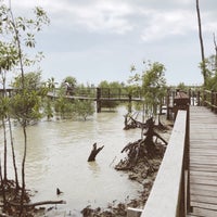 Photo taken at Tanjung Piai National Park by Sapasapa C. on 3/18/2018