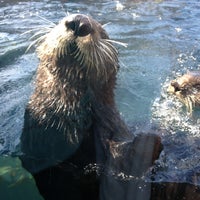 Photo taken at Monterey Bay Aquarium by Megan W. on 7/21/2013