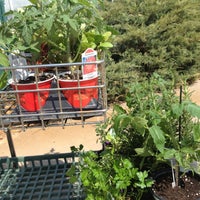 Photo Taken At Bachman\u0026amp;#39;s Floral And Garden Center By Daddy F Bachmans bachmans garden center. Photo Taken At Bachman\u0026amp;#39;s Floral And Garden Center By Daddy F Bachmans