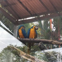 Photo taken at Zoo Johor by Syazrul F. on 3/3/2018