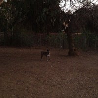 Griffith Park Dog Park - Dog Run