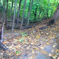 bloomer park