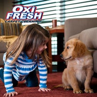 Oxi Fresh Carpet Cleaning Photos Reviews Benton Harbor Mi Oxi Fresh Carpet Cleaning