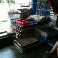 Pasar Hewan Barito - Kebayoran Baru - Jakarta, Jakarta