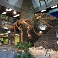 museum of ancient life