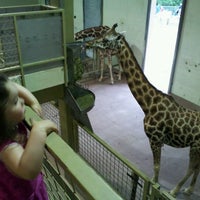 Photo taken at Giraffes at Hogle Zoo by John S. on 7/14/2012