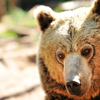 Photo taken at Spirit of the Hills Wildlife Sanctuary by Spirit of the Hills Wildlife Sanctuary on 9/4/2014 Photo taken at Spirit of the Hills Wildlife Sanctuary by Spirit of the Hills Wildlife Sanctuary on 9/4/2014