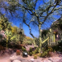 The Phoenician Resort Cactus Garden - Garden