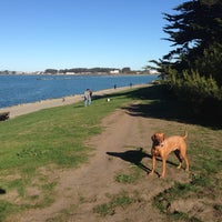 point isabelle dog park point isabelle dog park